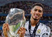 开云APP-英格兰队主帅喜获最佳教练奖，执教成果受赞誉