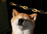 开云下载-布鲁克林铁骑踏碎孟菲斯壁垒，英格拉姆一锤定音改写格局