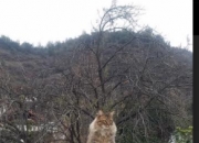 开云体育平台APP-南半球风暴席卷美国！罗德里戈魔幻舞步撕碎亚特兰大防线