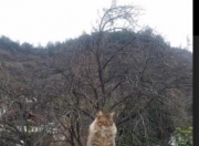 开云体育平台APP-南半球风暴席卷美国！罗德里戈魔幻舞步撕碎亚特兰大防线