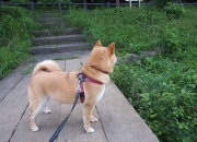 开云体育官网-洪都拉斯友谊赛横扫马德里竞技，马丁内利成关键先生