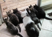 开云体育入口-防线重剑的沉默爆发，孔德如何成为葡萄牙突围日本的关键奇兵