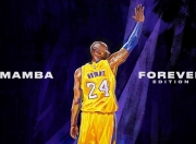 开云体育登录-当热火浓眉遇见广厦铁壁，赛后评分拉满背后的孤独凯歌