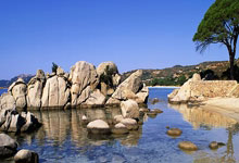 开云-当绿茵闪电撞上绿衫铁壁！姆巴佩奥运单挑凯尔特人，数据揭秘世纪交锋