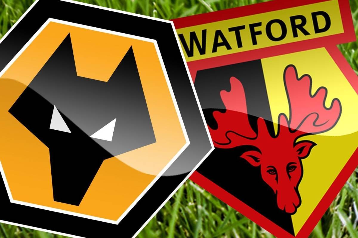 包含沃特福德战胜华狼队,实力得到验证的词条 包含沃特福德战胜华狼队,实力得到验证的词条