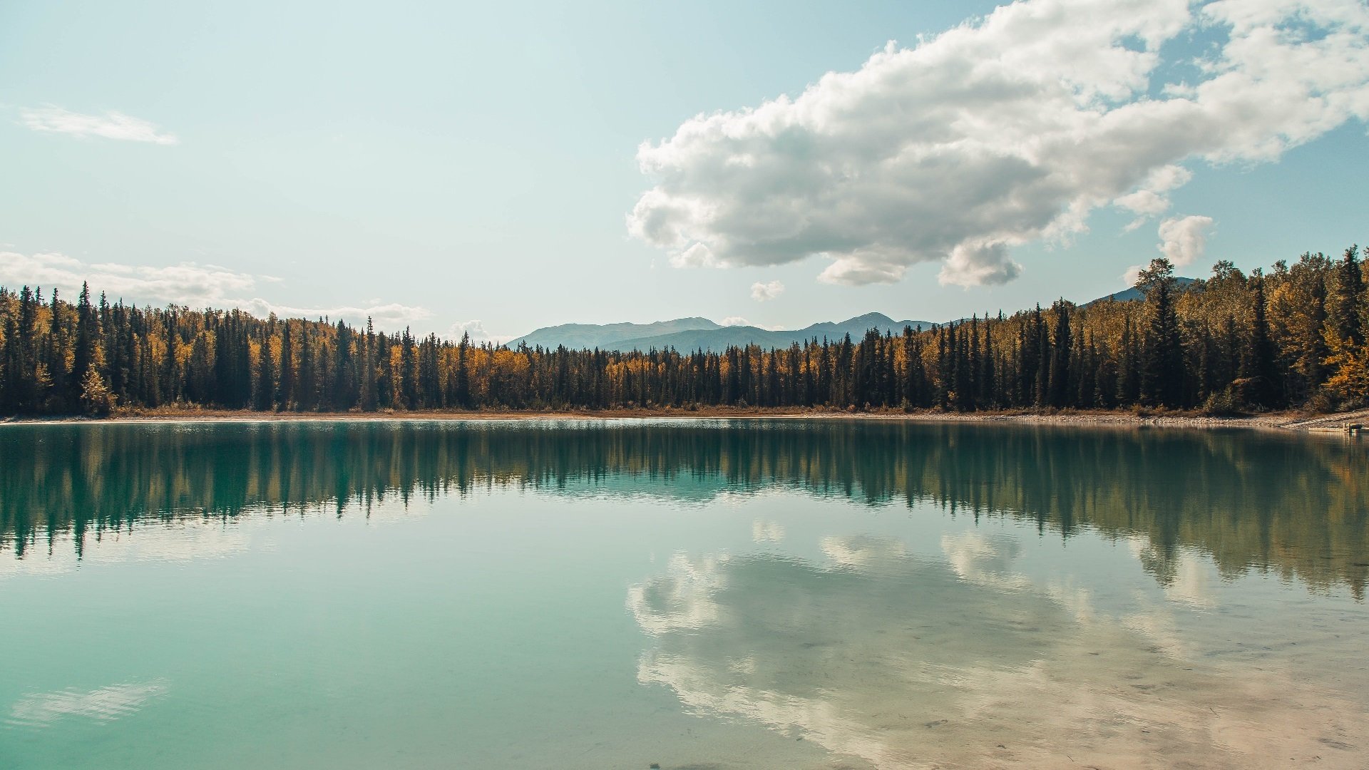 跨界风暴,当狼爪撕裂长城,篮球魂征服诺坎普