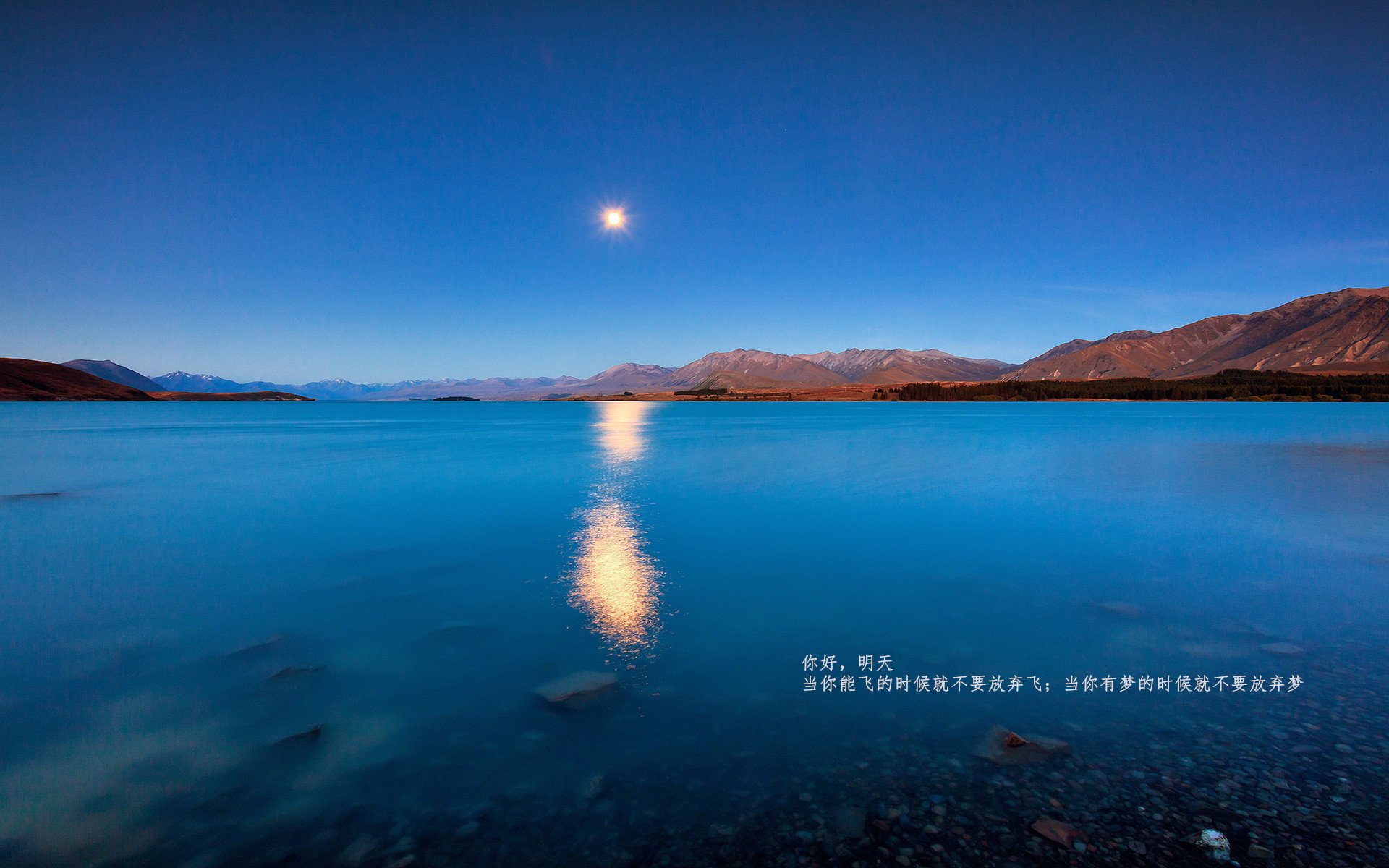 强行终结与接管之夜,当北京队扼杀热火,范弗利特统治世界战场