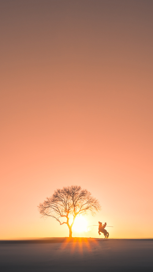 当个人英雄主义的彗星,照亮团队至上的黎明