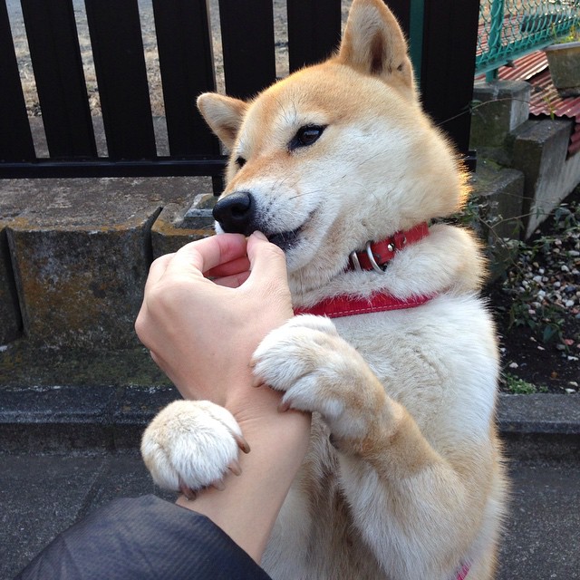 巨星45米巡航导弹难救主！团队奇迹击碎克罗地亚黄金一代