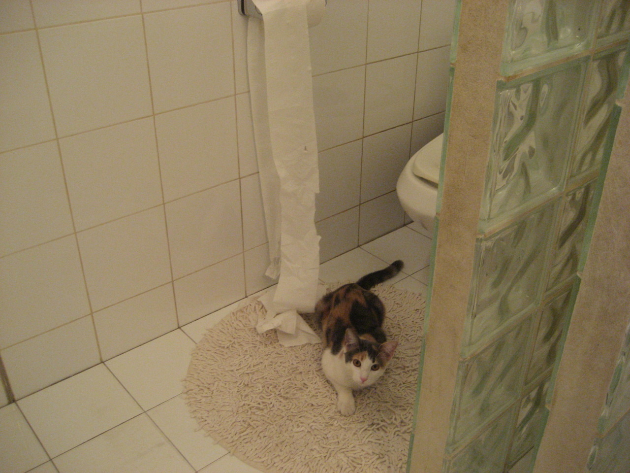 跨越时空的对决,雷恩新星闪耀,提前上演的美加墨世界杯焦点预演