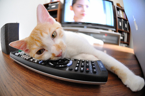 足球地理的错位奇观,当南非主场迎来伊拉克,阿根廷的劳塔罗为何统治了数据?