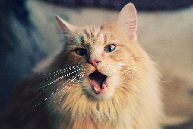 拔剑出鞘，当大场面先生孔德，遇上乌拉圭的硬仗美学