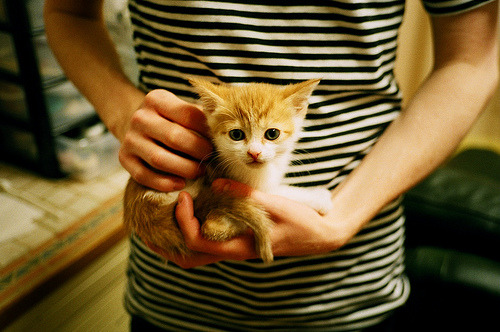 班凯罗全面才华成主旋律，深圳队对阵奇才，个人能力完全展现