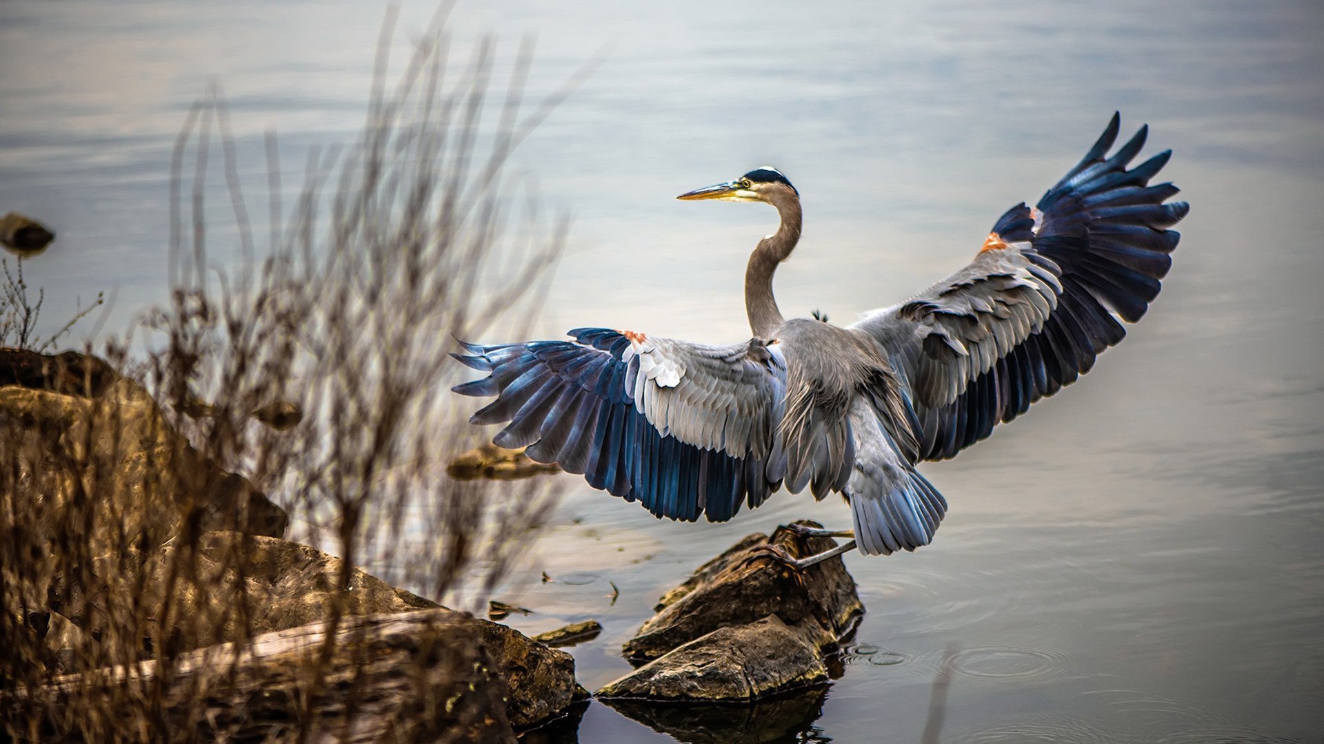 虚拟空间的法则与现实绿茵的胜利，当厄瓜多尔收割希腊，加维如何诠释稳定输出不掉线？