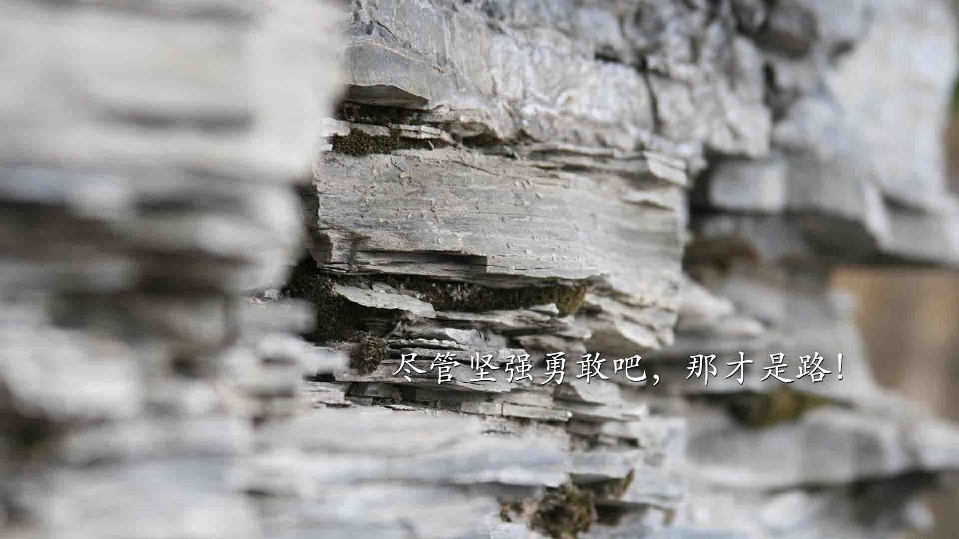 格纳布里魔术秀征服里昂，德意志战车一波流碾过北非之狐